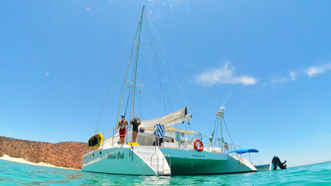 tour la paz a los cabos